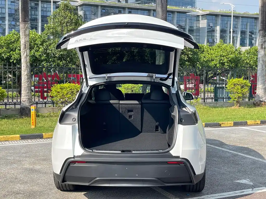 Tesla Model Y — фото 11