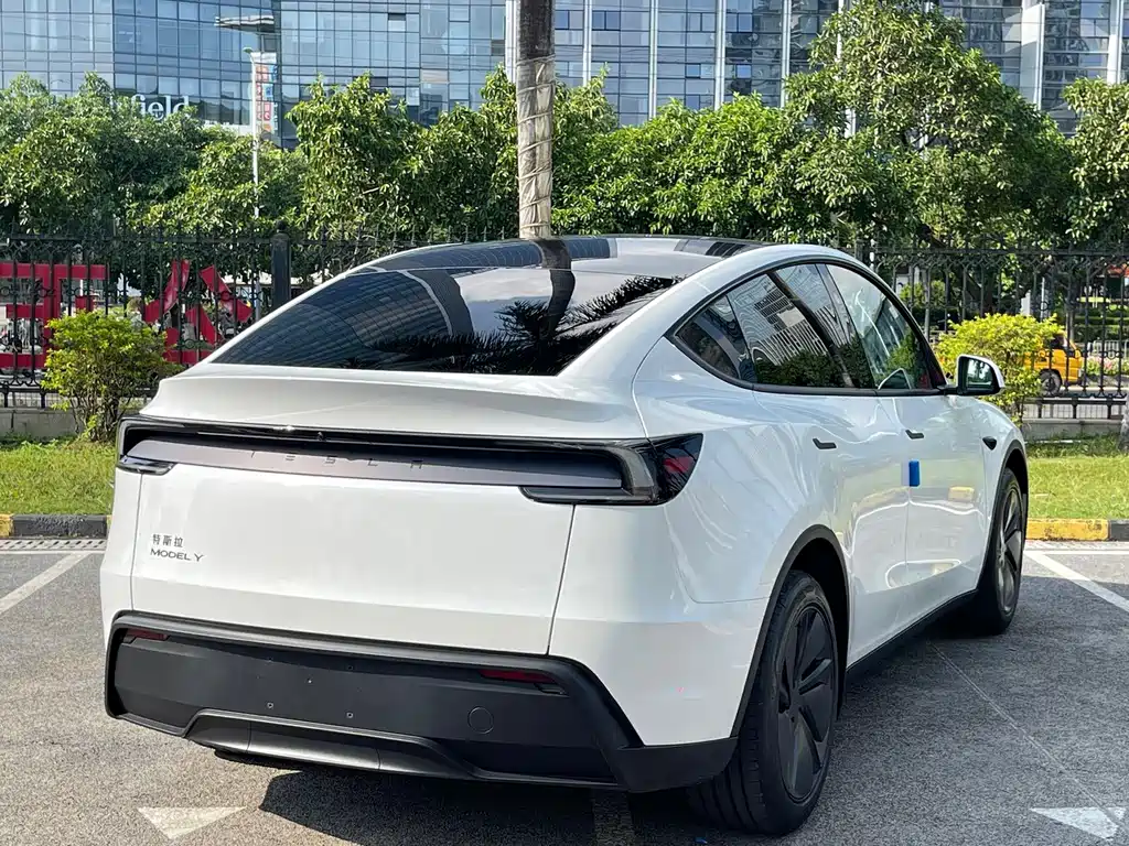 Tesla Model Y — фото 14