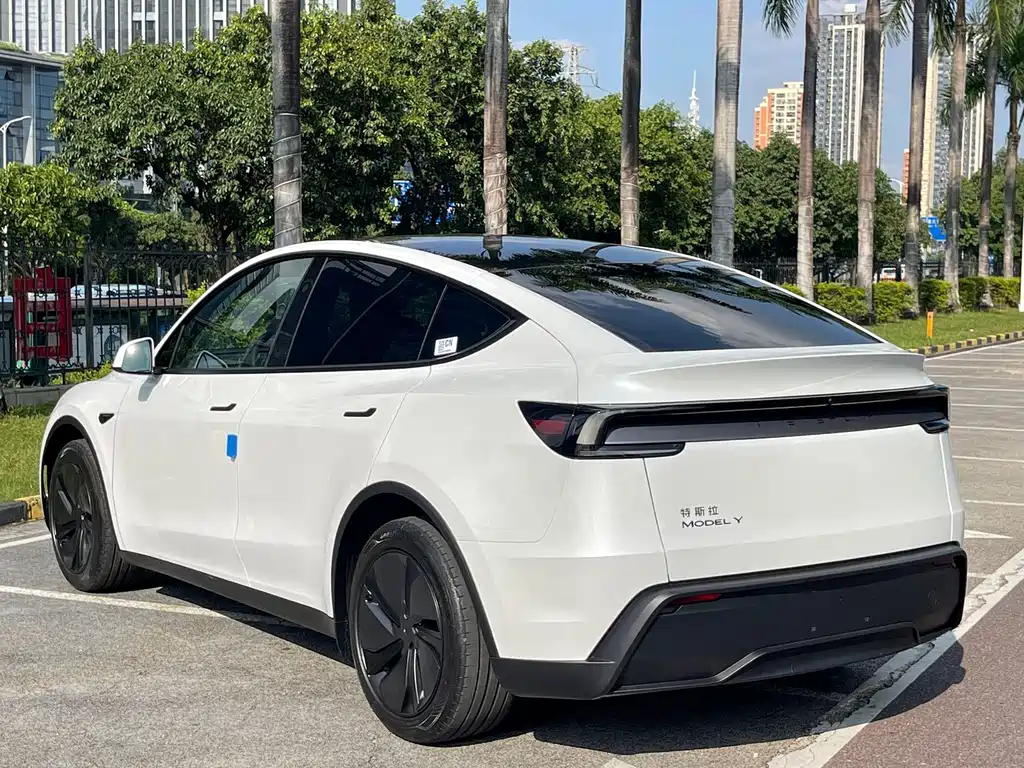 Tesla Model Y — фото 15