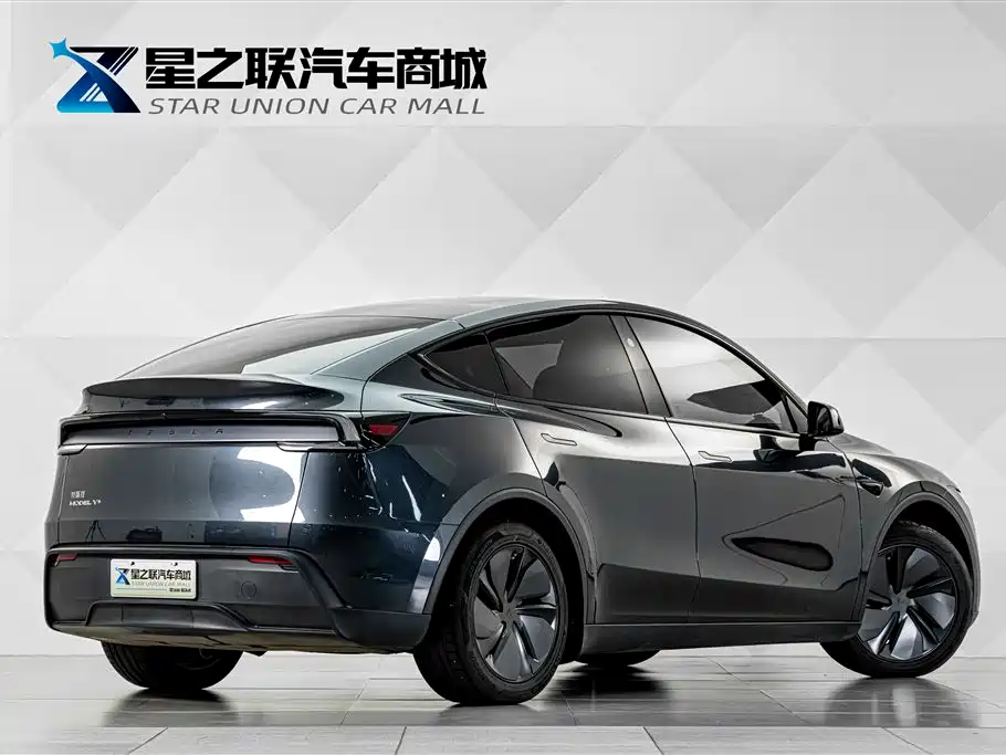 Tesla Model Y — фото 6