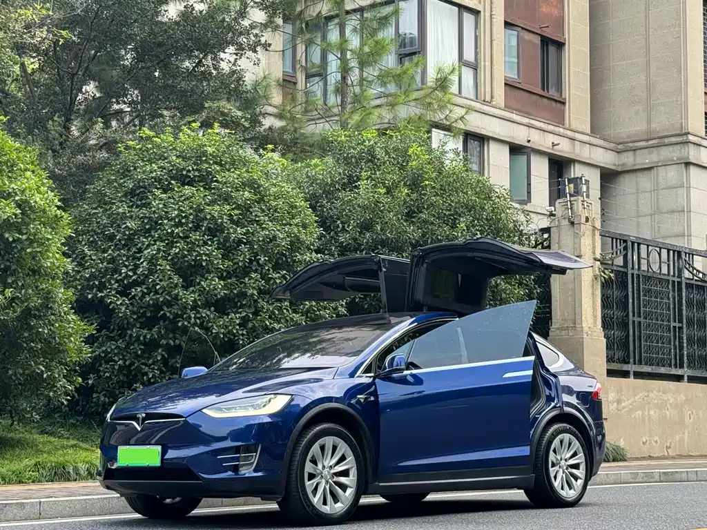Tesla Model X — фото 2