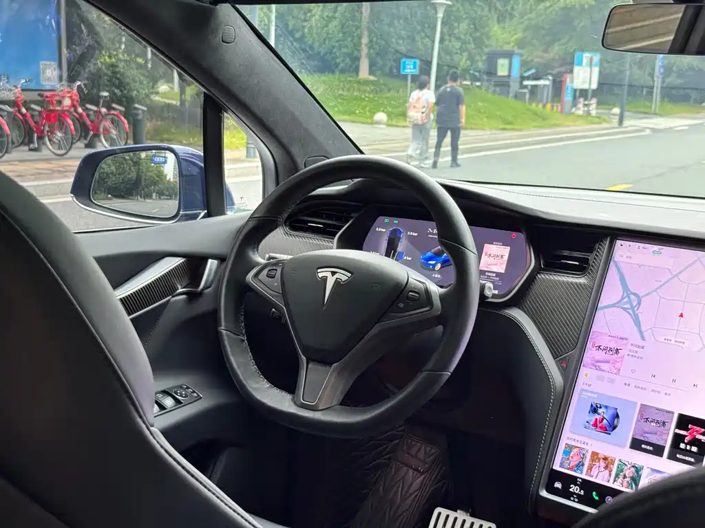 Tesla Model X — фото 11