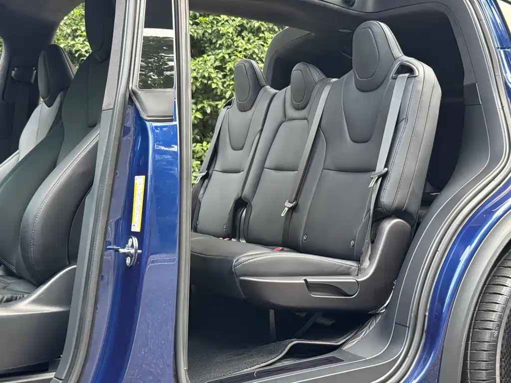 Tesla Model X — фото 13