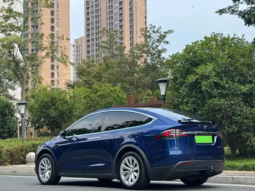 Tesla Model X — фото 14