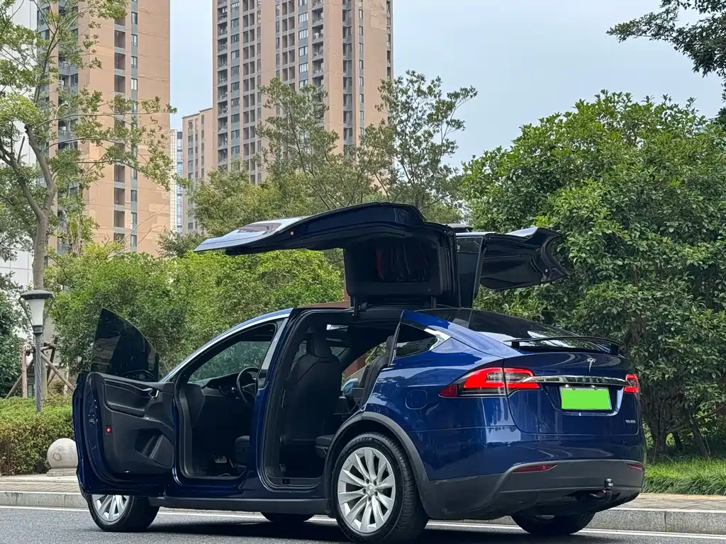 Tesla Model X — фото 15