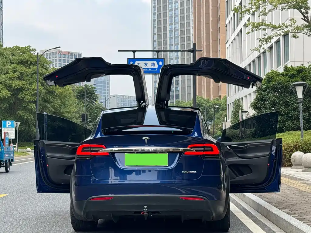 Tesla Model X — фото 17
