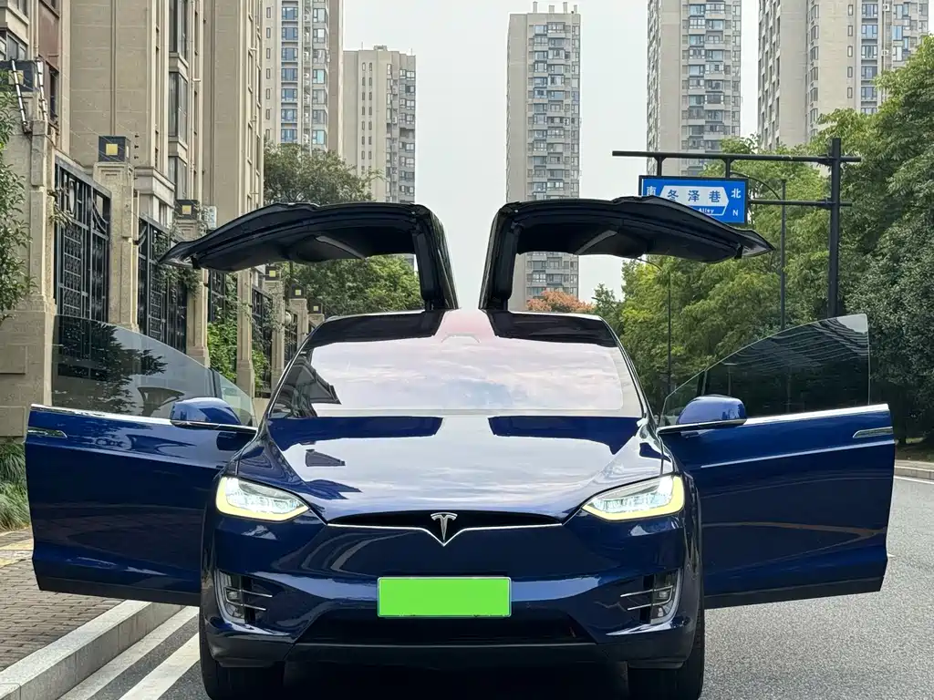 Tesla Model X — фото 4