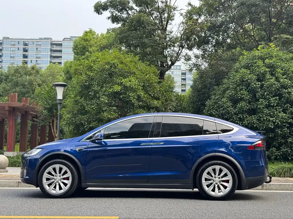 Tesla Model X — фото 5