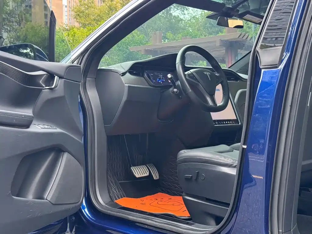 Tesla Model X — фото 8