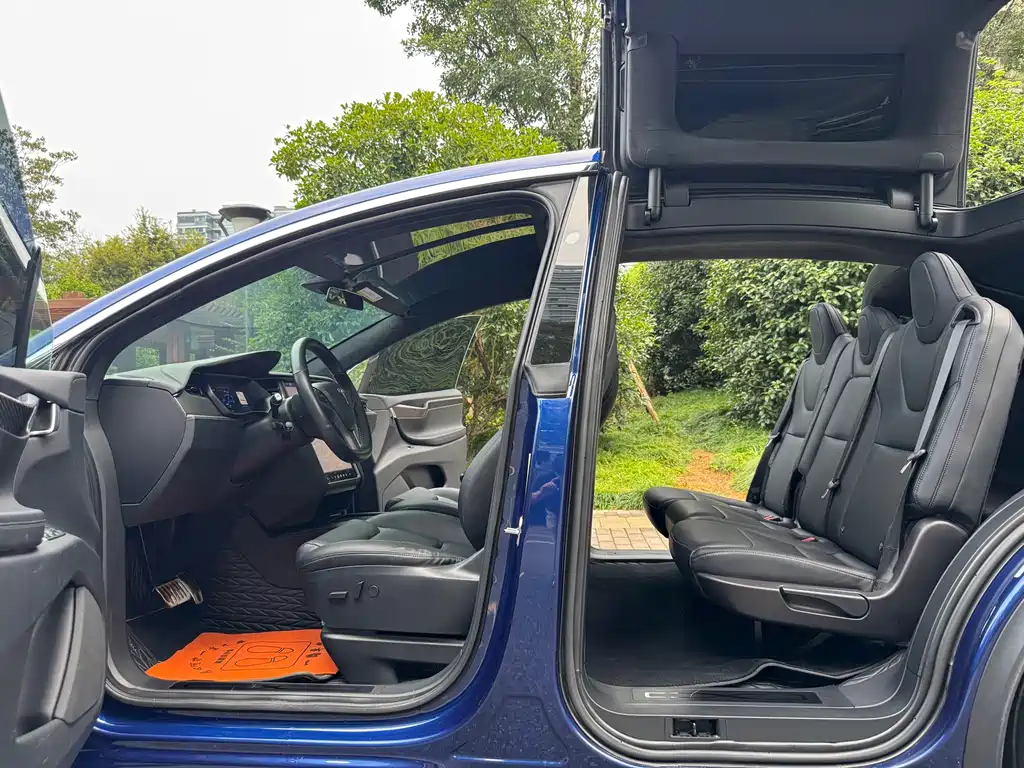 Tesla Model X — фото 9