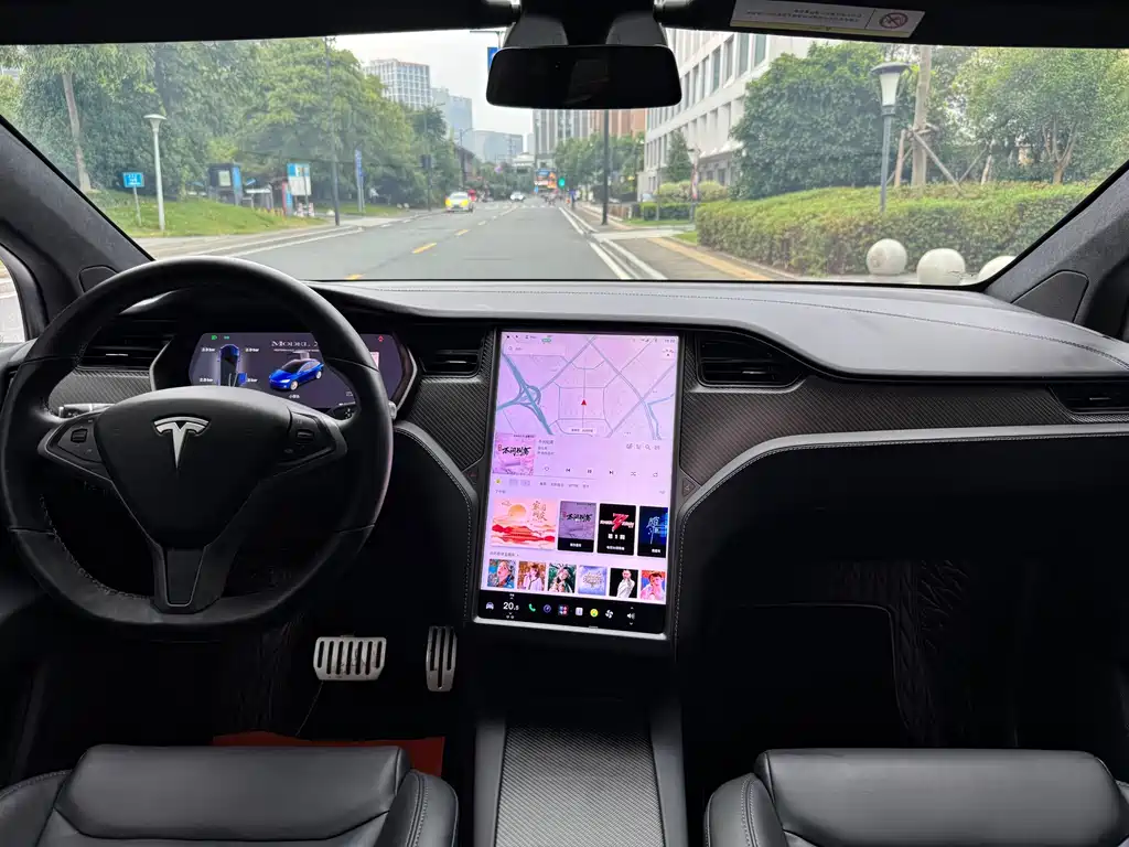 Tesla Model X — фото 10