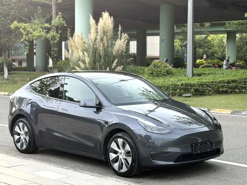Tesla Model Y — фото 2