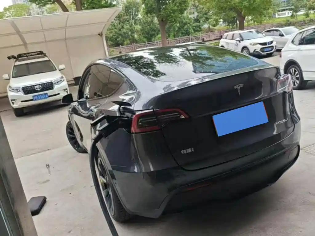 Tesla Model Y — фото 5