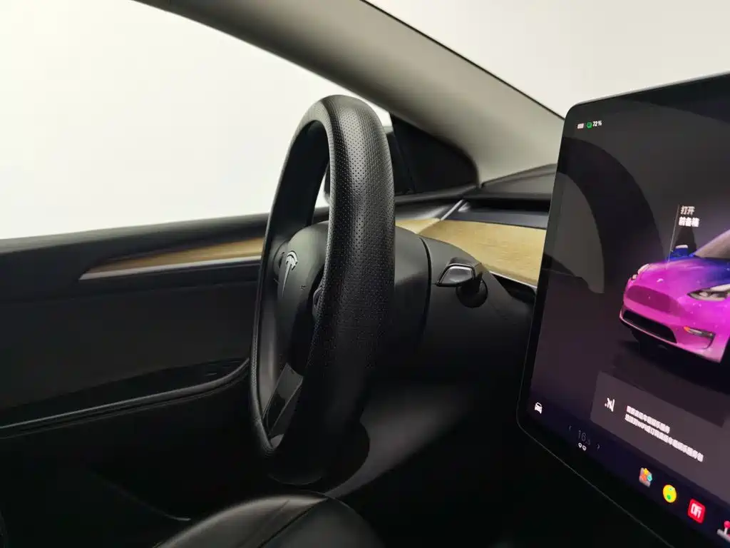 Tesla Model Y — фото 22