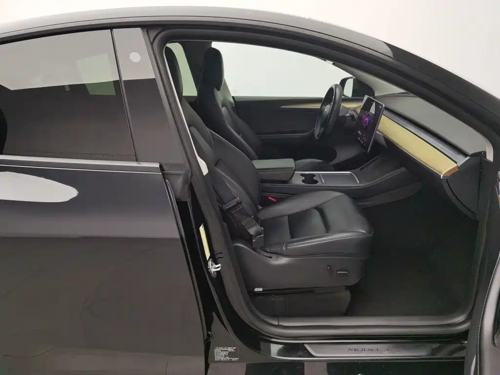 Tesla Model Y — фото 23