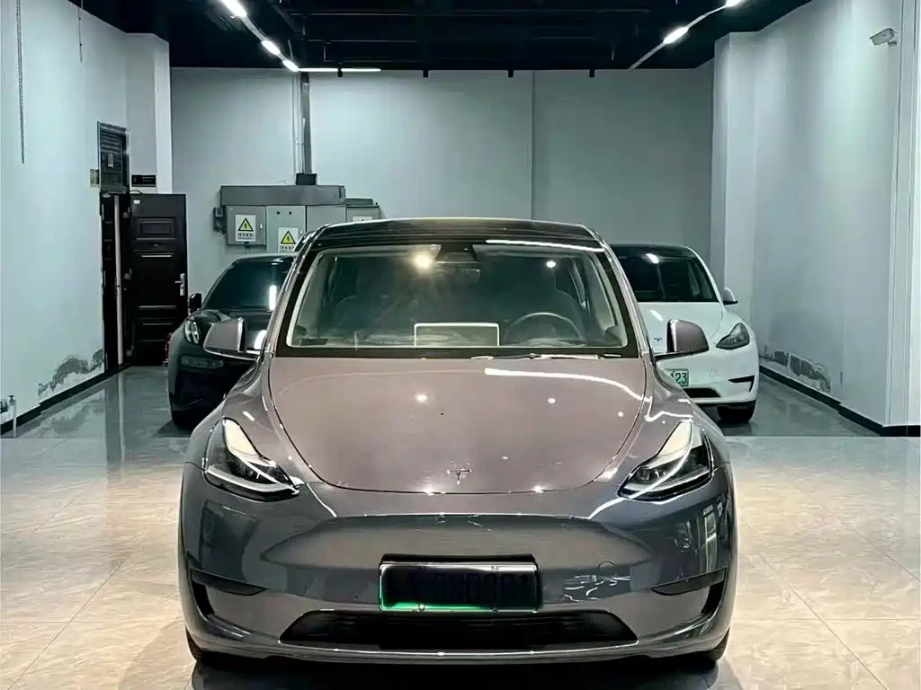 Tesla Model Y — фото 2
