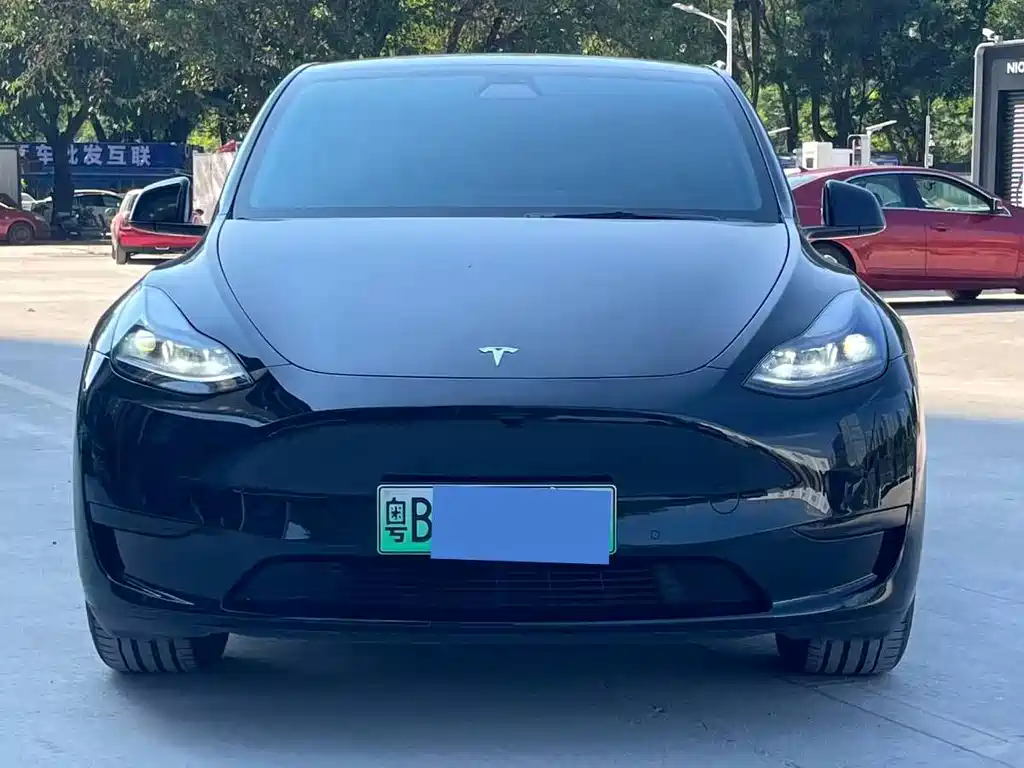 Tesla Model Y — фото 2