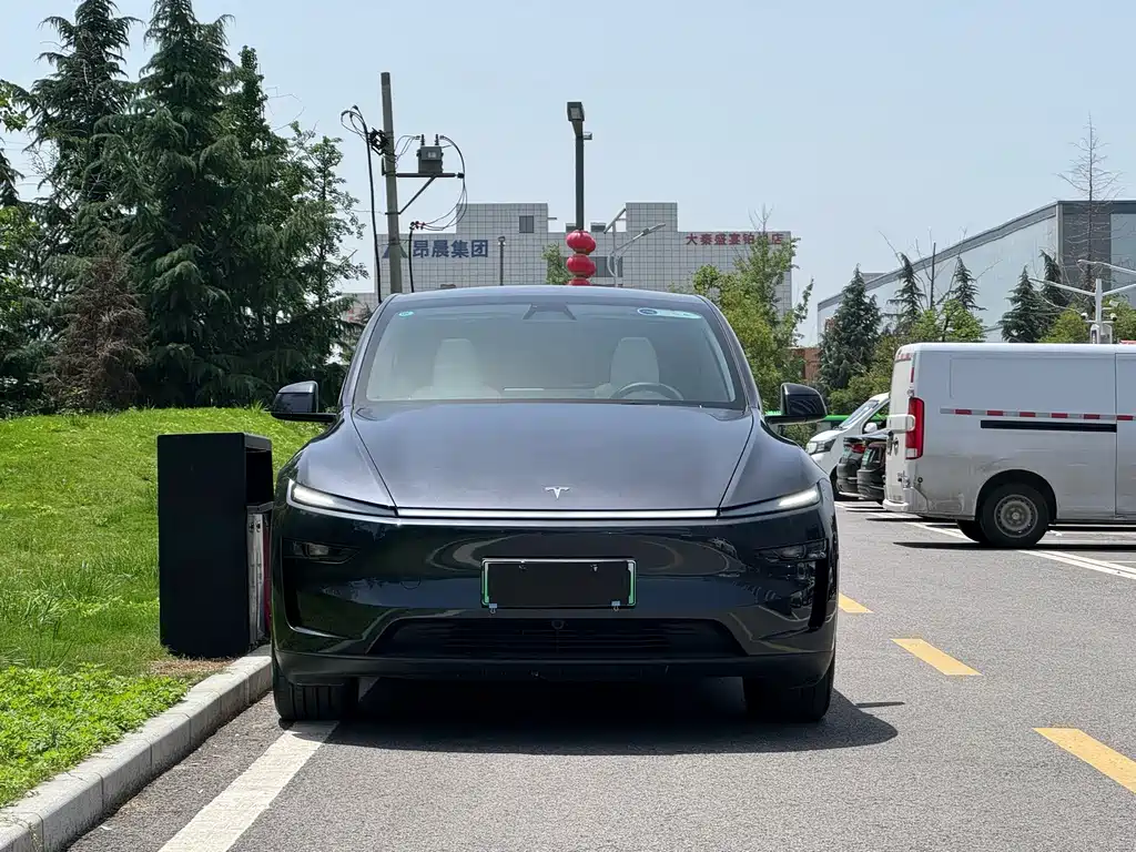 Tesla Model Y — фото 2