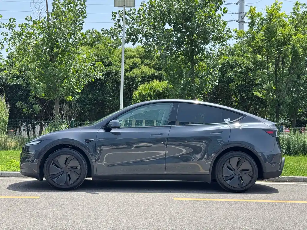 Tesla Model Y — фото 14