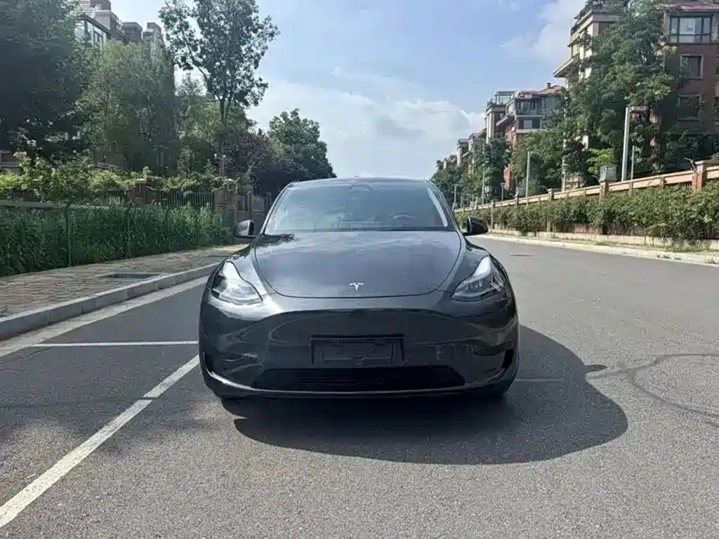 Tesla Model Y — фото 2