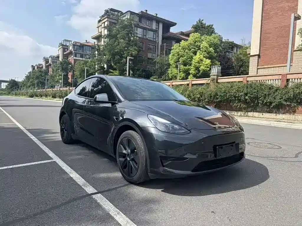 Tesla Model Y — фото 3