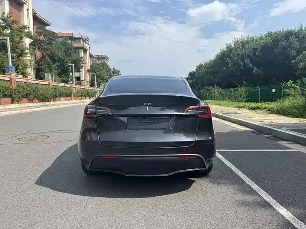 Tesla Model Y — фото 10