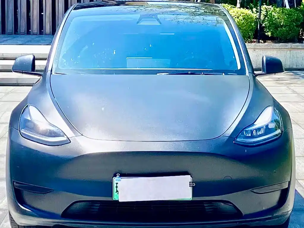 Tesla Model Y — фото 2