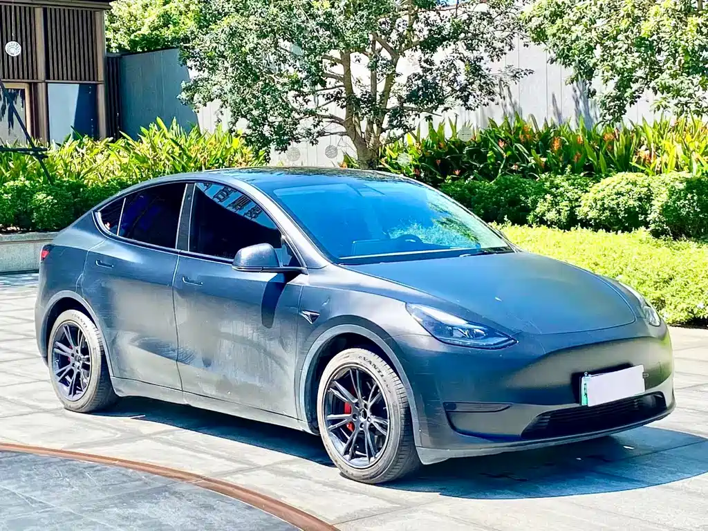 Tesla Model Y — фото 3