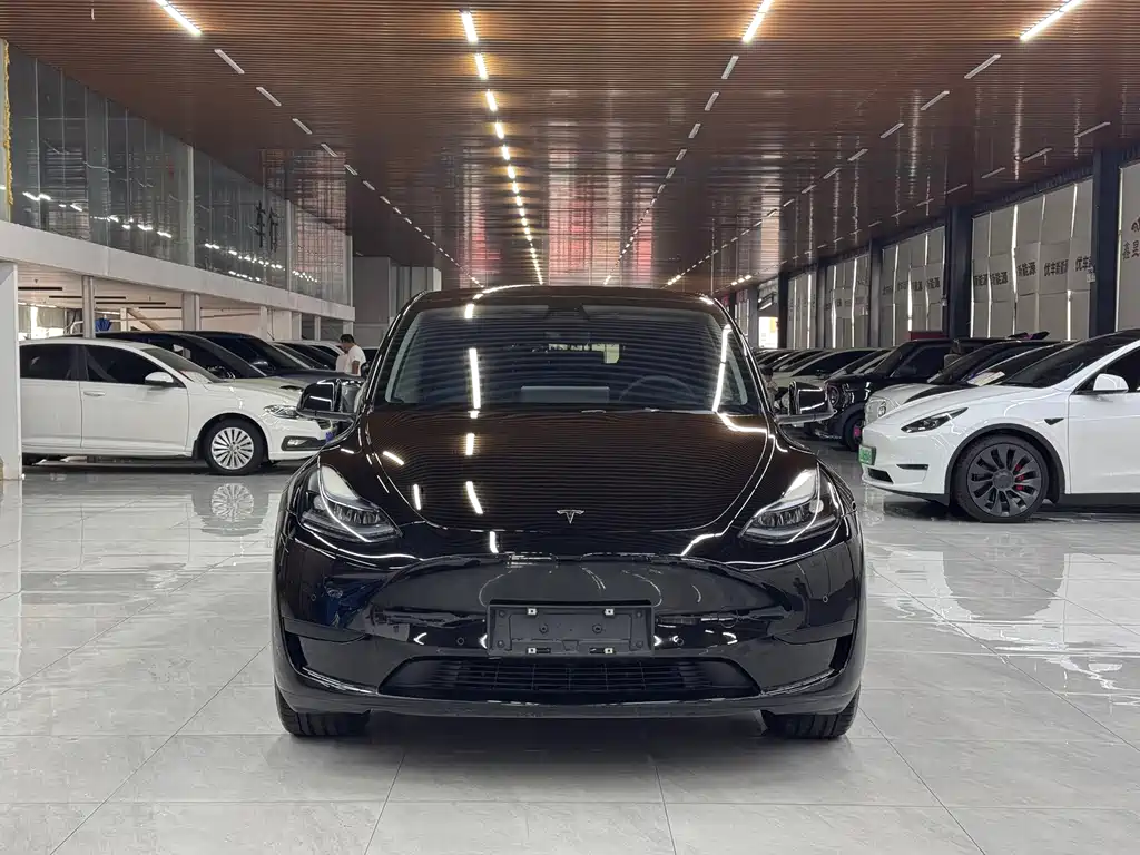 Tesla Model Y — фото 2