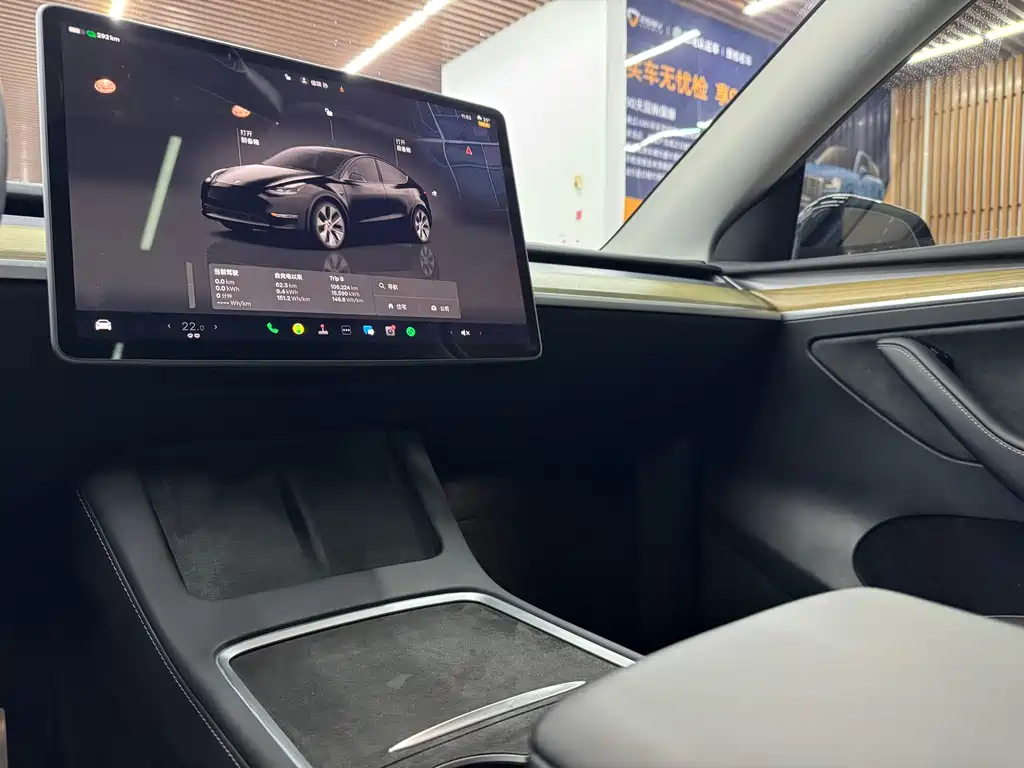 Tesla Model Y — фото 9