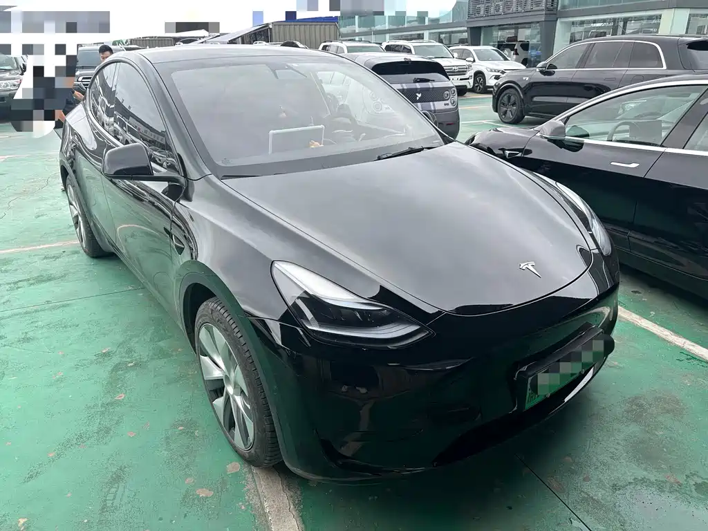 Tesla Model Y — фото 3