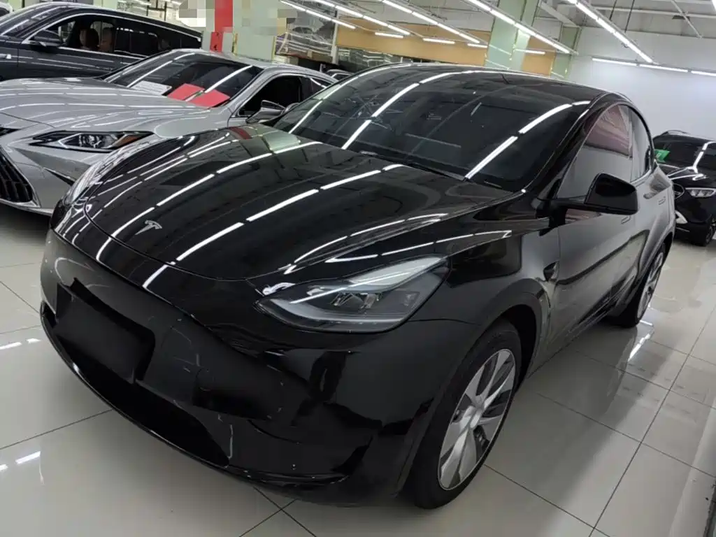 Tesla Model Y — фото 2
