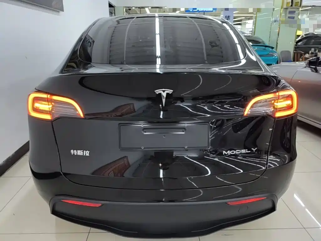 Tesla Model Y — фото 6