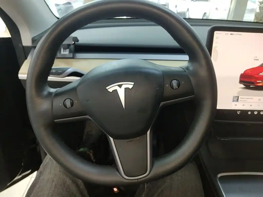 Tesla Model Y — фото 11