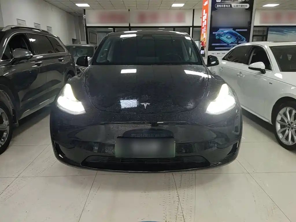 Tesla Model Y — фото 3