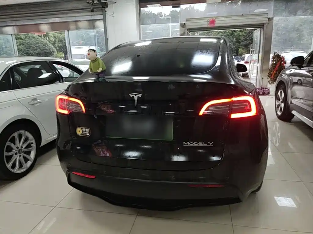 Tesla Model Y — фото 6