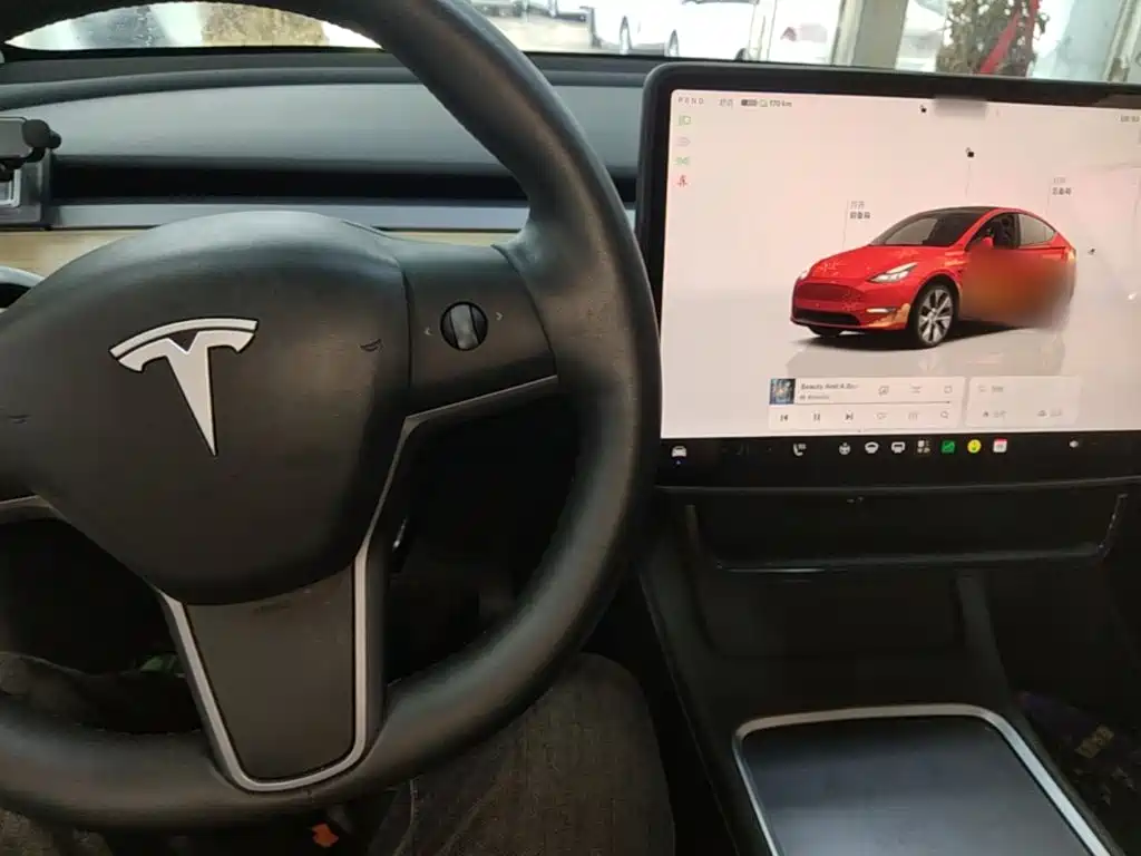 Tesla Model Y — фото 10