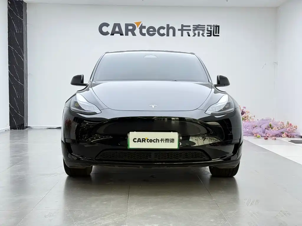 Tesla Model Y — фото 2