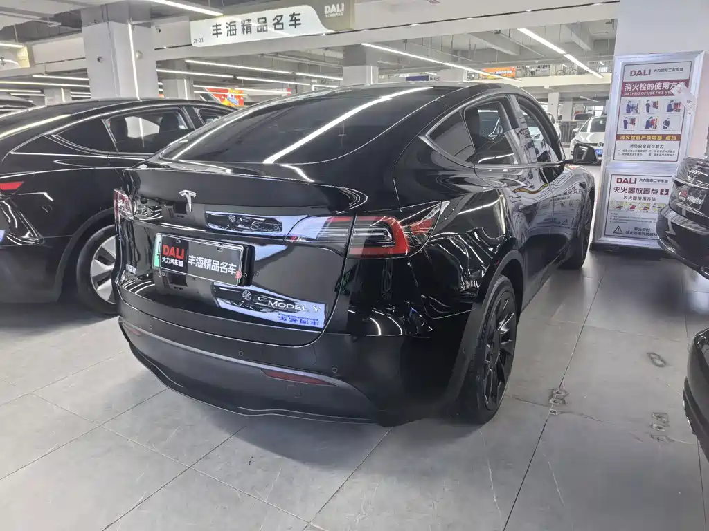 Tesla Model Y — фото 10