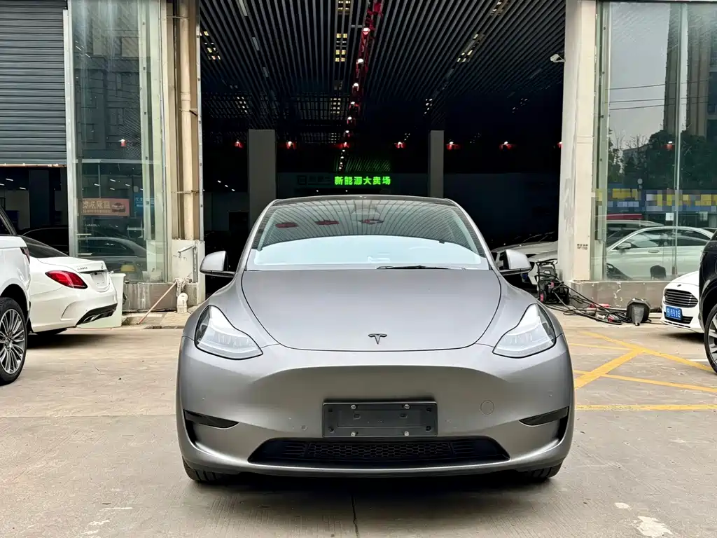 Tesla Model Y — фото 2