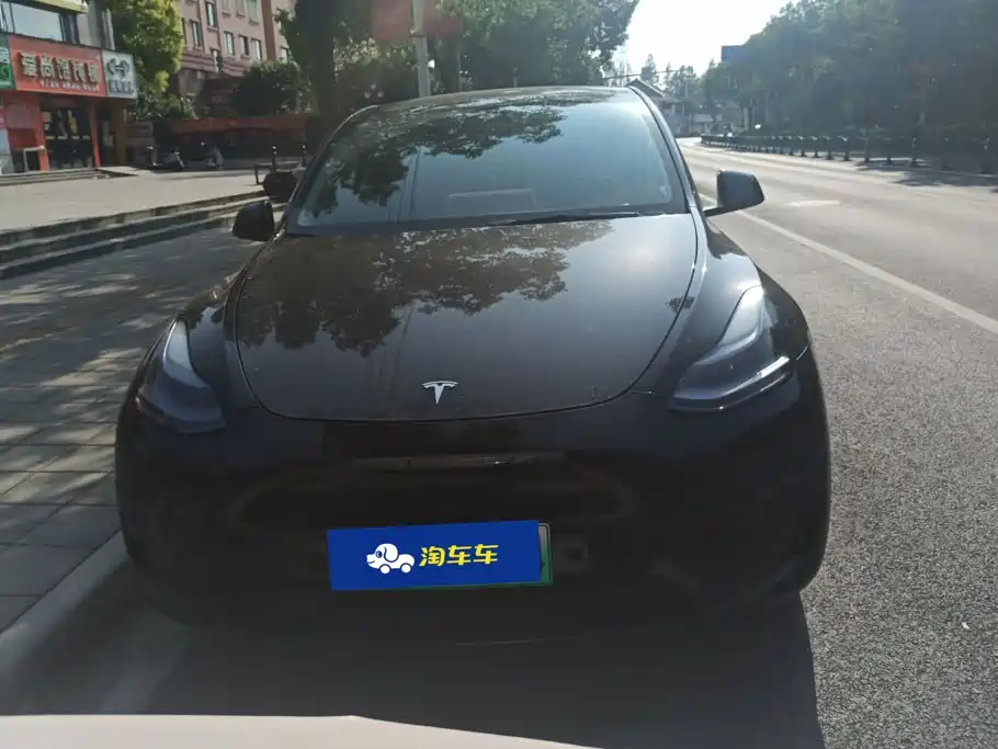 Tesla Model Y — фото 2