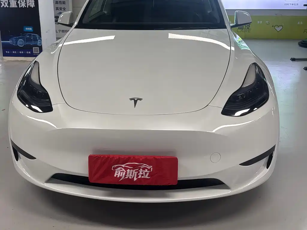 Tesla Model Y — фото 2