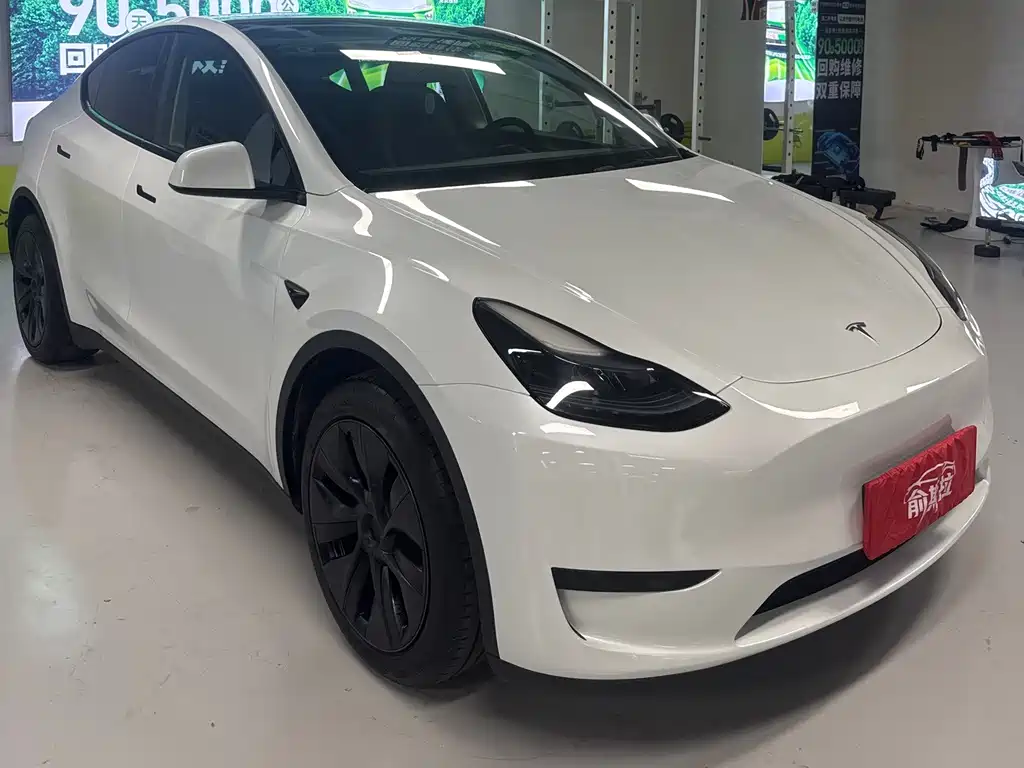 Tesla Model Y — фото 3