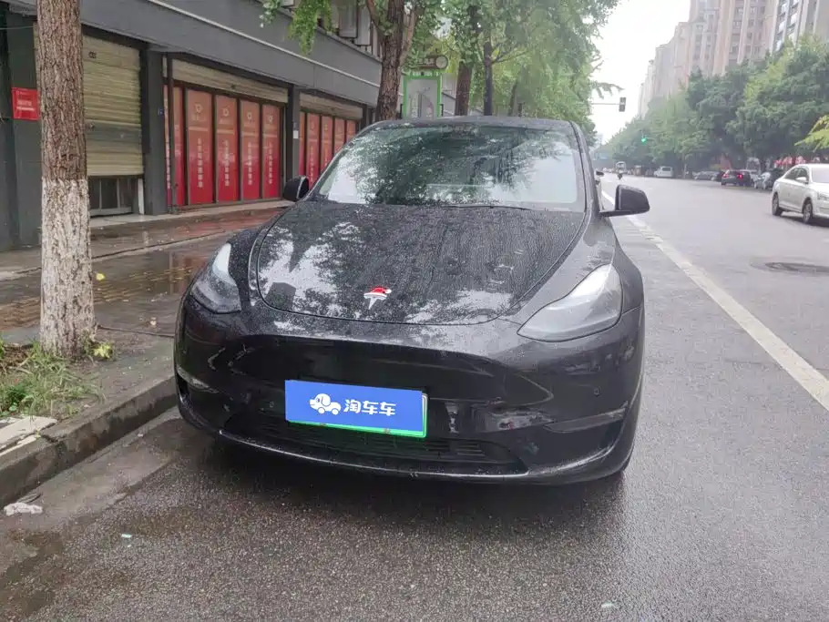 Tesla Model Y — фото 2