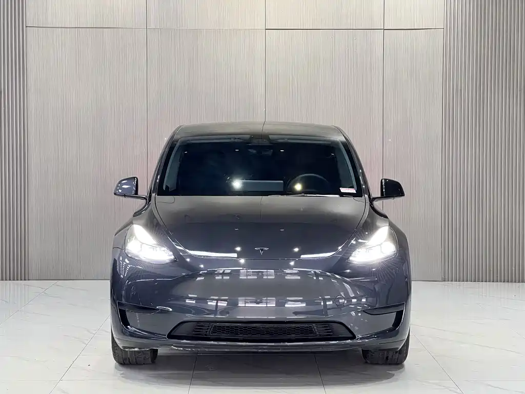 Tesla Model Y — фото 2