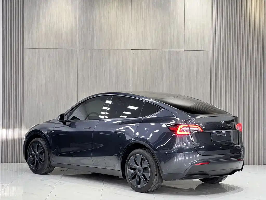 Tesla Model Y — фото 8