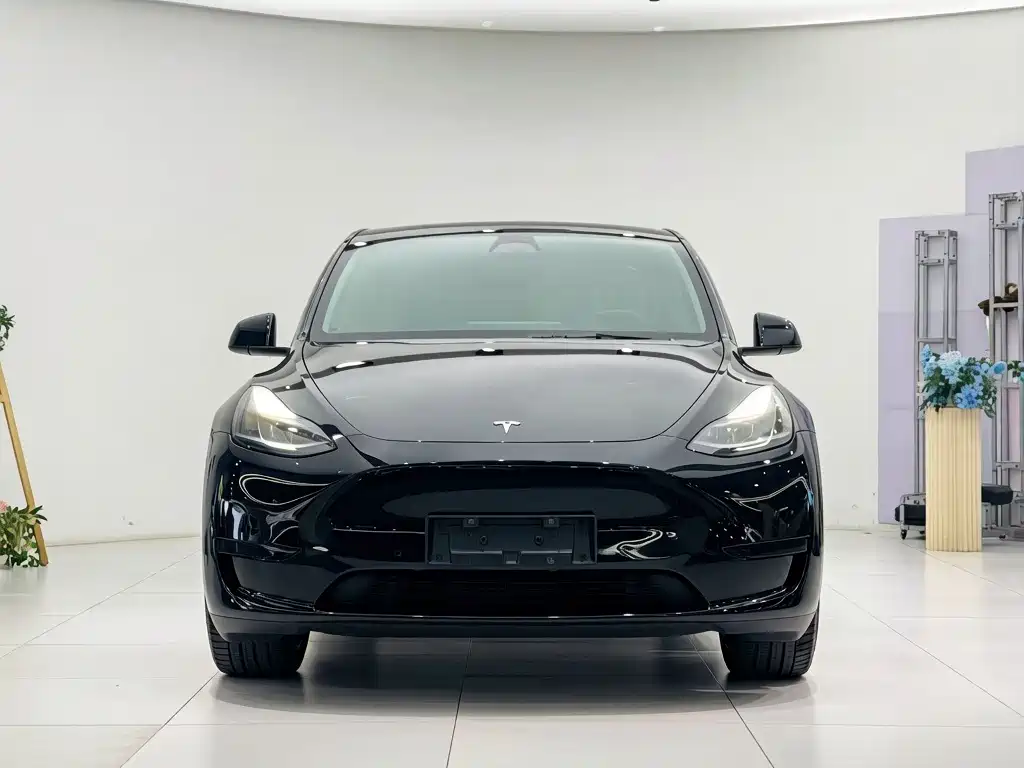 Tesla Model Y — фото 2