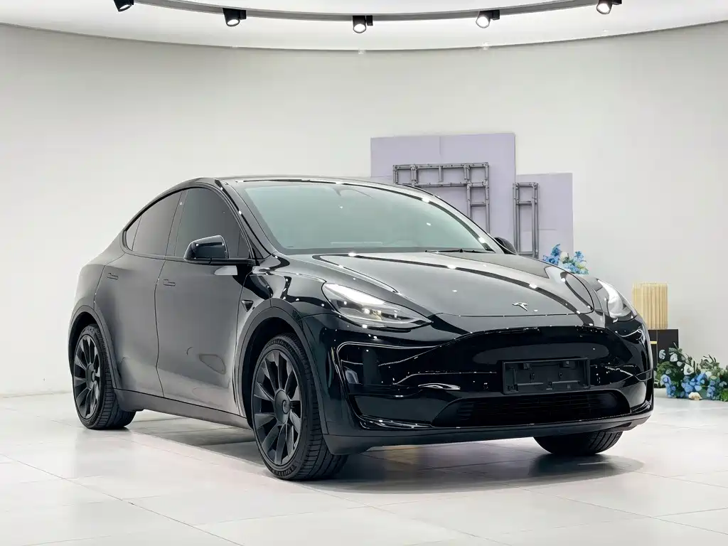 Tesla Model Y — фото 11