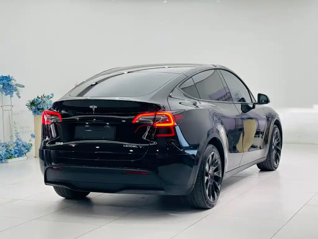 Tesla Model Y — фото 15