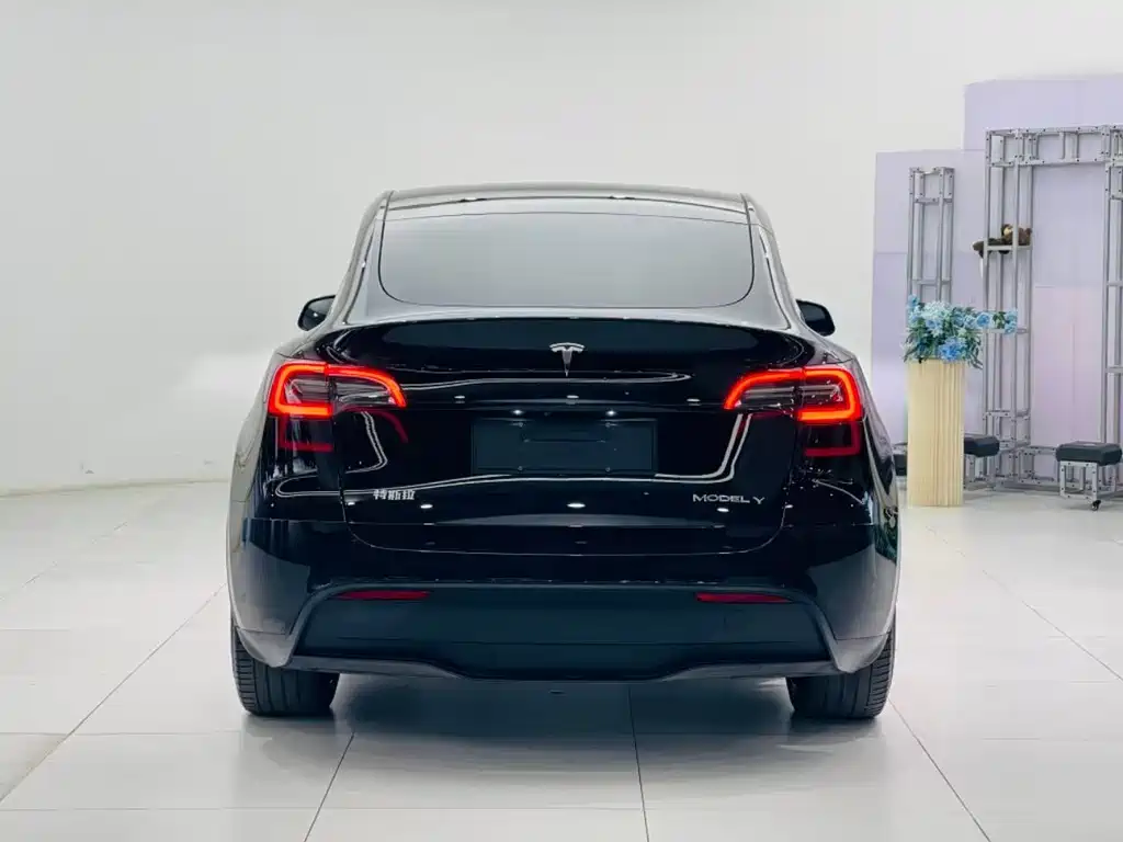 Tesla Model Y — фото 7
